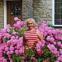 ���� ���, ������ - ��������� 10 ����� 2023