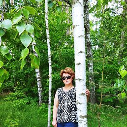 �����, �������, 49 ���