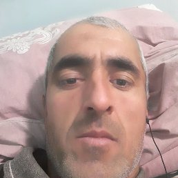 �������, �����, 40 ���