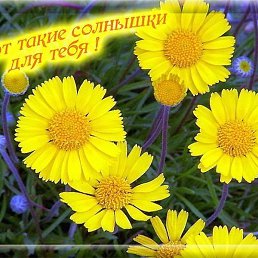 �������, ���������, 28 ���