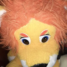 ����, �����, 49 ���