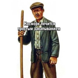 ����, �������, 41 ���