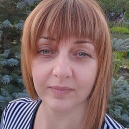 �����, �������, 50 ���