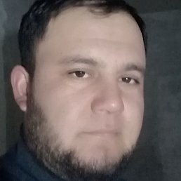 �����, �������, 37 ���