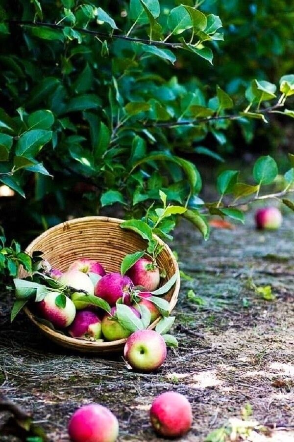 ������ � ��� ������� ������. � ������. ������� ������� ���� ���������� � ������ ���� �� ����... ... - 7