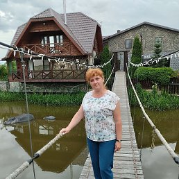 �������, ������, 50 ���