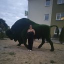 ���� �������� �������� ���������, ������, 33 ���� - ��������� 15 ���� 2023 � ������ ���� ����������