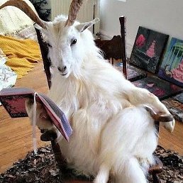 ����, ������, 26 ���