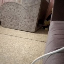 �����, ������, 21 ���