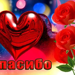 ���� ����, ��������, 77 ��� - ��������� 14 ��� 2023