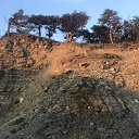 ���� Ryzhik, ����, 53 ���� - ��������� 23 ������� 2023 � ������ ���� ����������