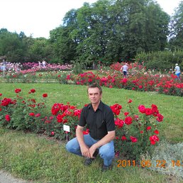 �������, �������, 58 ���