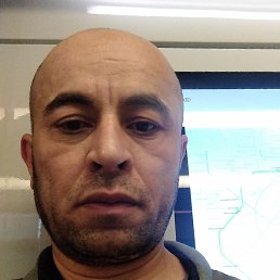 �����, ������, 44 ����