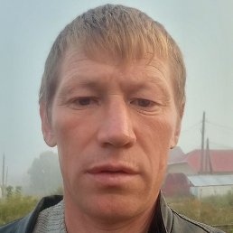 �����, ������, 41 ���