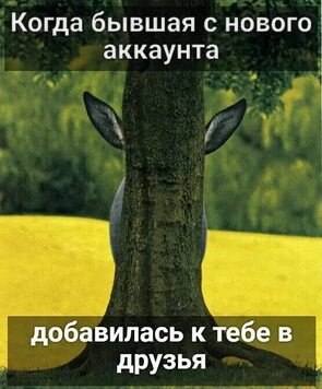   - 2  2023  10:13