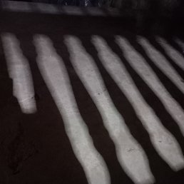 ���� Rodrigue, �����������, 37 ��� - ��������� 14 �������� 2023