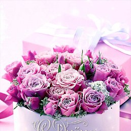 ��������, ������, 23 ����