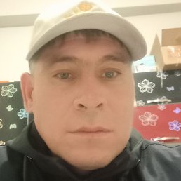 ������, ����������, 40 ���