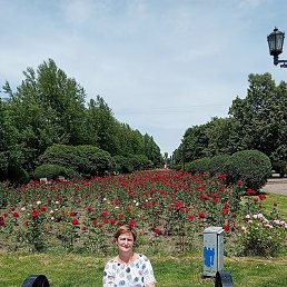 �������, �������-����������, 56 ���