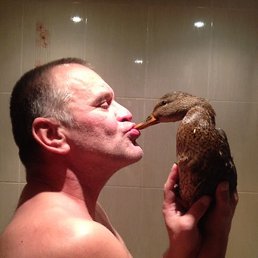 ����, ������������, 59 ���