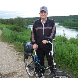 , 65 , 