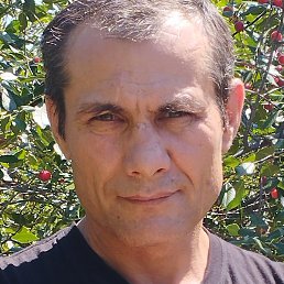 ���������, ��������, 45 ���