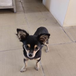 �����, ���, 64 ����