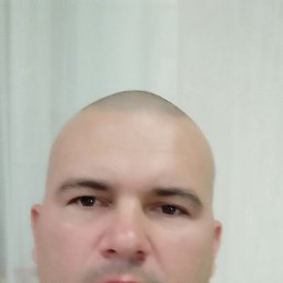 , 44,  