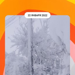 ���� ����, ���������, 42 ���� - ��������� 29 ���� 2023