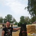 ���� ������, ����, 41 ��� - ��������� 23 ��� 2023 � ������ ���� ����������