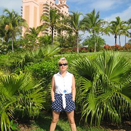 ���� .�� ��������..., ������ - ��������� 8 �������� 2023