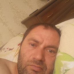 , 44, 