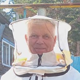 ������, ������, 71 ���