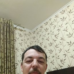 , 40, 