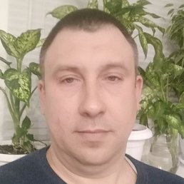, , 45 