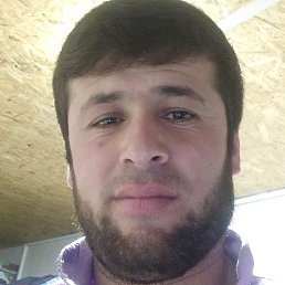 ������, ������, 33 ����