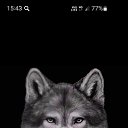 ���� K, ������, 53 ���� - ��������� 4 ���� 2023