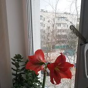 , , 
