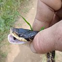 ���� �������, ��������, 47 ��� - ��������� 6 ������� 2023