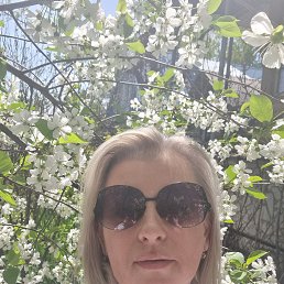 ���� �������, ������, 49 ��� - ��������� 20 ��� 2023