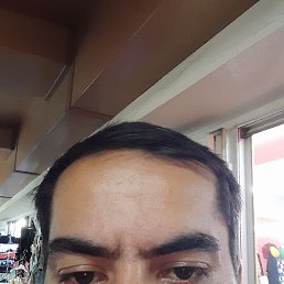 Vladislal, �������, 37 ���