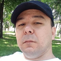 ������, �������, 37 ���