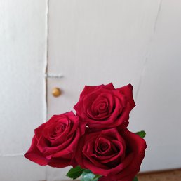  , , 40  -  12  2023
