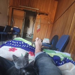 ������, ������, 44 ����