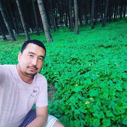 Sharof, �������, 35 ���