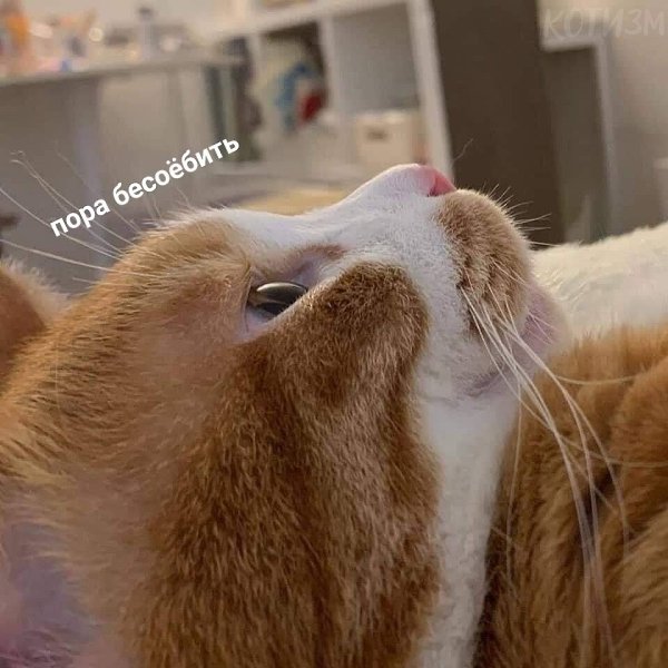   - 5