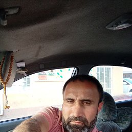 ���� ���������, �����-���������, 43 ���� - ��������� 12 ����� 2023