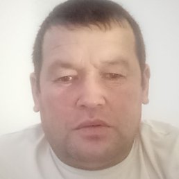 �����, ������, 44 ����