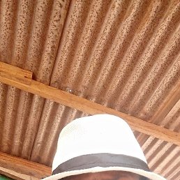 Diabte, �����������, 42 ����