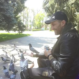 �����, ����������, 40 ���